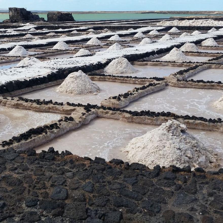 Pemanfaatan Garam untuk Pestisida dan Pupuk Organik